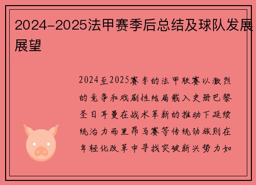 2024-2025法甲赛季后总结及球队发展展望